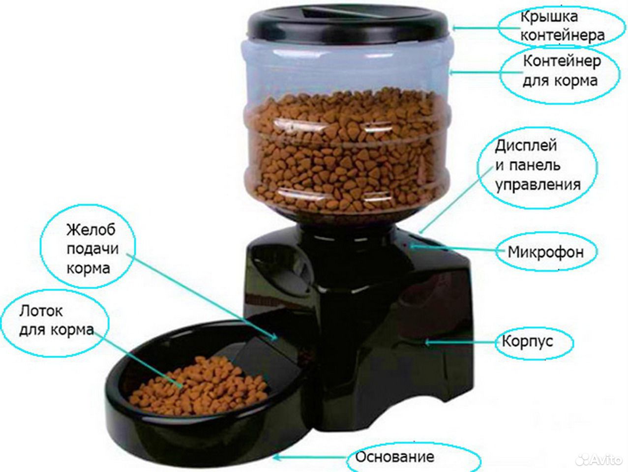 Кормок. Pet Feeder кормушка. Автокормушка для кошек Pet Feeder. Catit senses 2.0 Мульти-кормушка (h437414). Автокормушка с LCD на 6-7 кг сухого корма Pet Feeder 10.