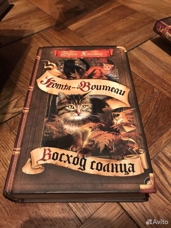 Аудиокниги коты воители рассвет. Коты Воители книга Восход солнца. Коты Воители рассвет. Коты Воители книжка Восход солнца. Коты Воители рассвет купить.