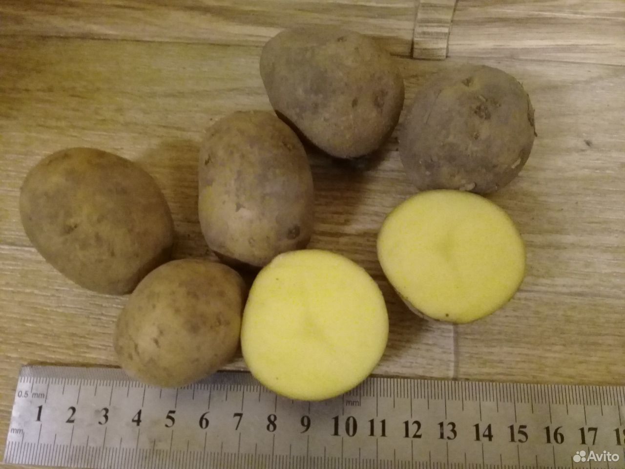 Картофель семенной Гала/Вега.