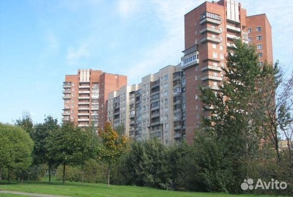 Российский проспект 3 1. Российский проспект санкт-петербург. Коллонтай 24 корпус 2. Российский проспект 1. Российский проспект 14.