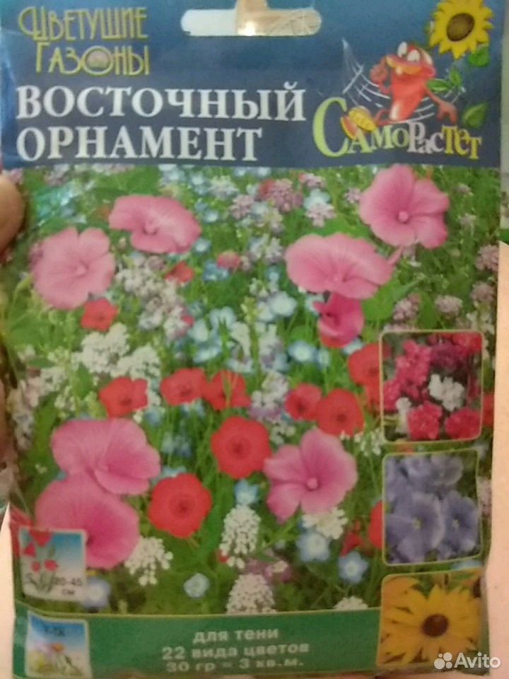 Семена красивых цветочков купить на Зозу.ру - фотография № 1