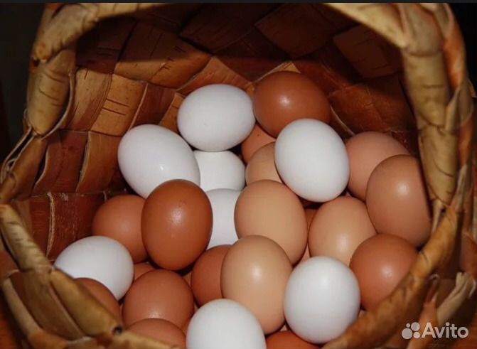 Яйцо деревенское купить на Зозу.ру - фотография № 2