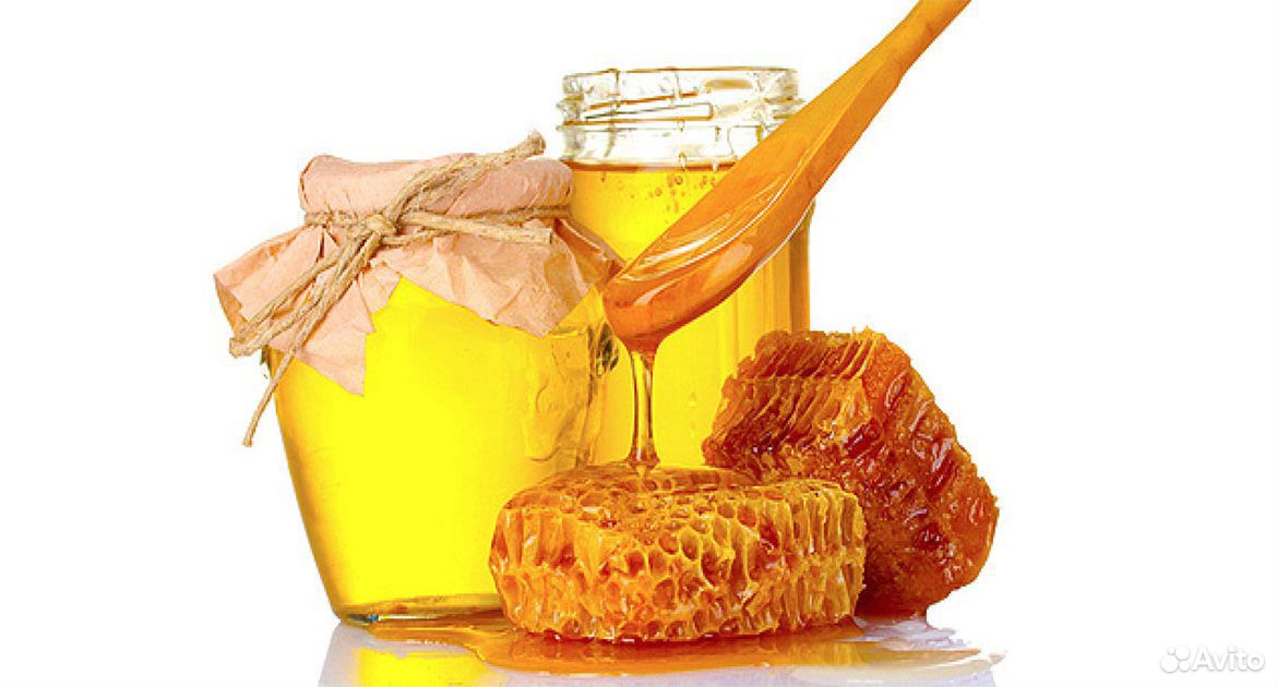 Мед свежего урожая купить на Зозу.ру - фотография № 2