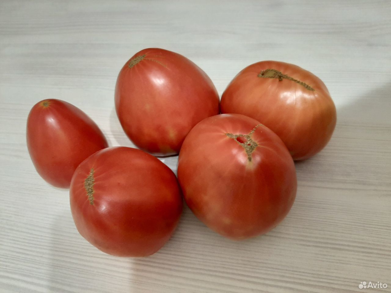 Продаю домашние помидоры купить на Зозу.ру - фотография № 1