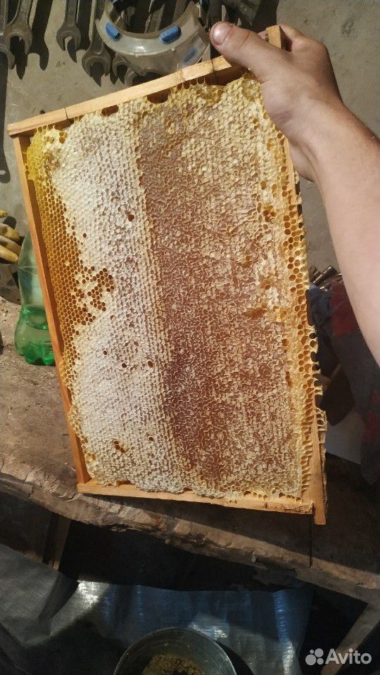 Домашний мед купить на Зозу.ру - фотография № 3
