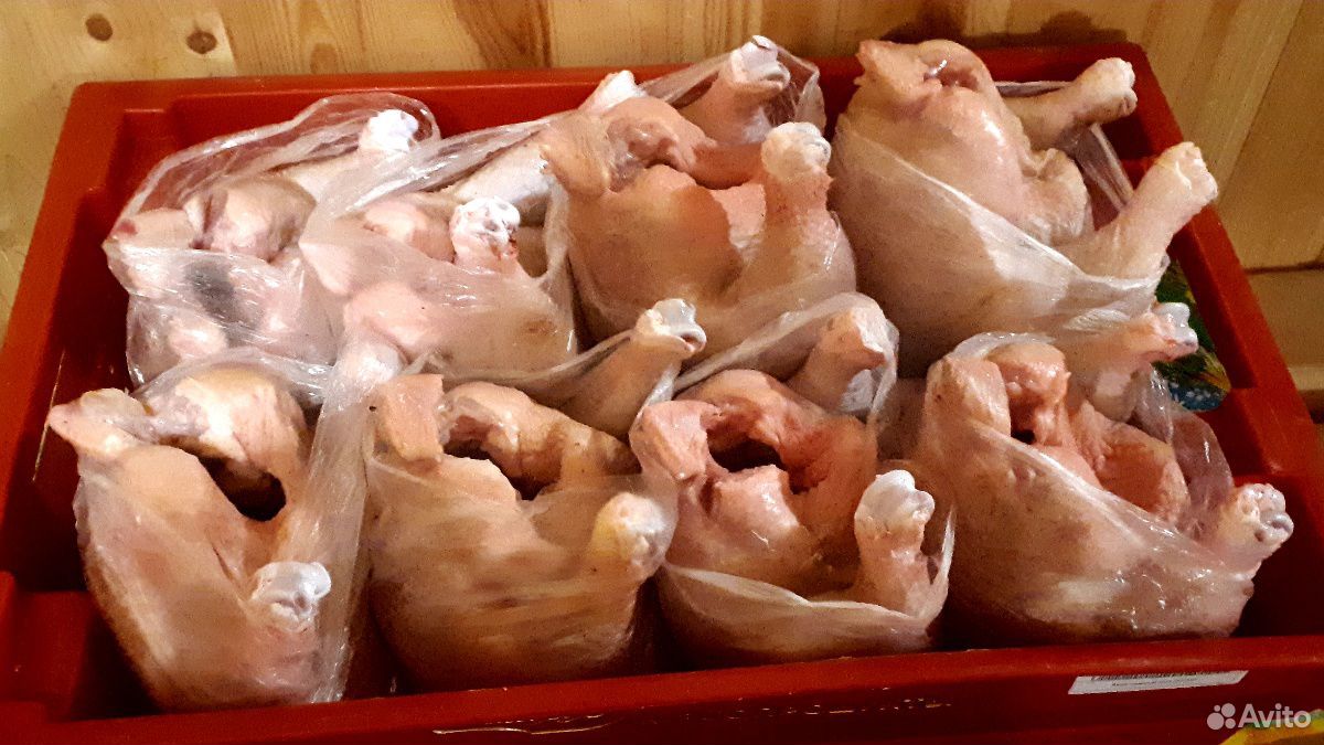 Мясо домашних цыплят -бройлеров, индейка купить на Зозу.ру - фотография № 2