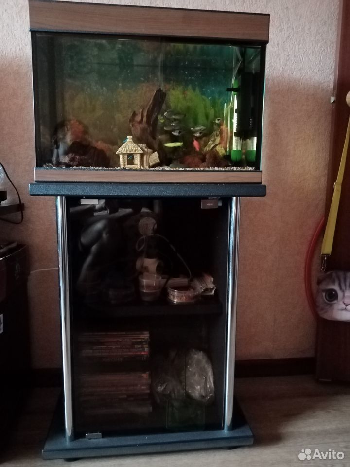 Продам аквариум с тумбочкой купить на Зозу.ру - фотография № 1