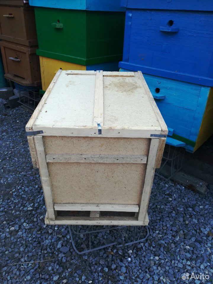 Отводки пчёл на 4 рамки купить на Зозу.ру - фотография № 1