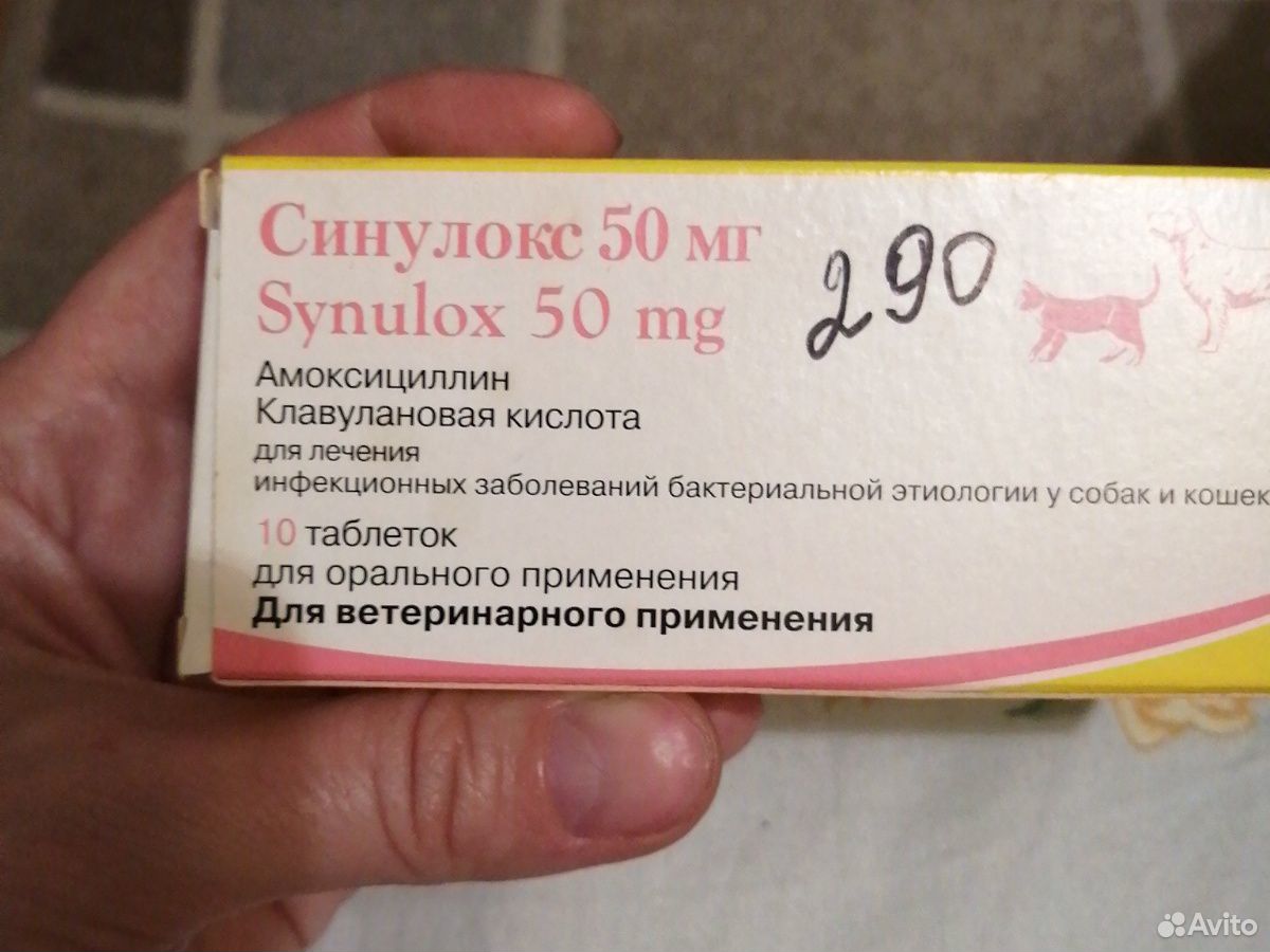 Синулокс 50 мг купить на Зозу.ру - фотография № 2