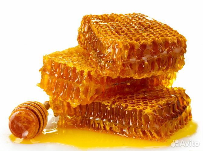 Мёд натуральный в ялте купить на Зозу.ру - фотография № 1