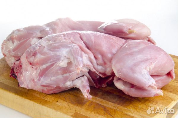 Продам мясо кролика купить на Зозу.ру - фотография № 1