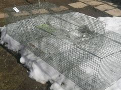 Продаю клетки из сетки для кроликов бу
