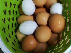 Яйца домашние куриные и перепелинные