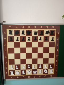 Шахматы демонстрационные магнитные