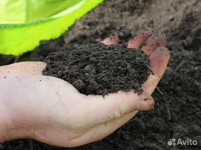 Чернозем Грунт плодородный с Доставкой в Гурьевск