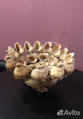 Ваза из ракушек