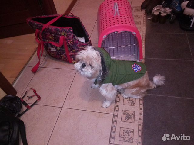 Комбинезон для собаки