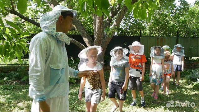 Музей пчеловодства мед, тур на пасеку, агротуризм