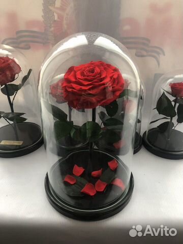 Розы в колбе