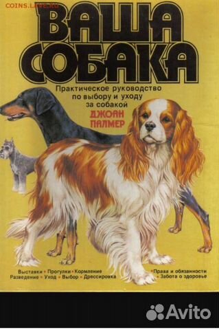 Книга Ваша собака