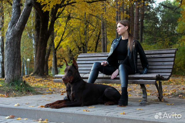 Фотосессия