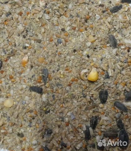 Комбикорм для животных и птиц. Снижение цен