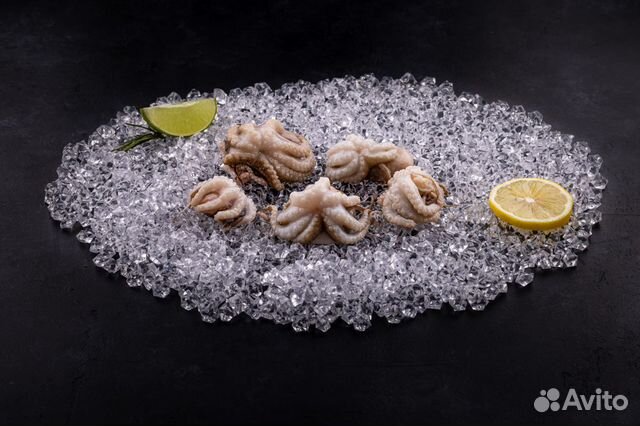 Осьминог молодой. Вьетнам