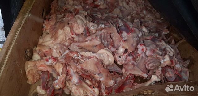 Мясо для животных