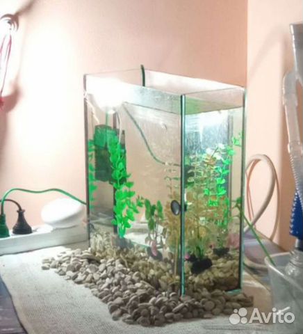 Аквариум со всеми комплектующими
