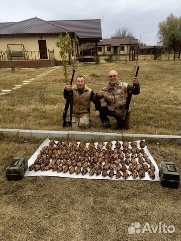 Чучела уток для охоты