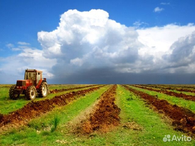 аренда земли под сельское хозяйство в ленинградской области часть