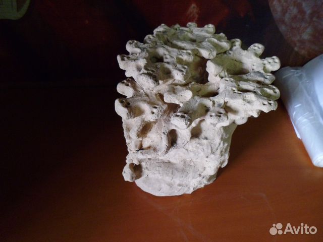 Продам искусственный коралл купить на Зозу.ру - фотография № 4