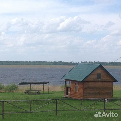 1000 сот. Озеро Медвежье Петухово. Медвежьи озёро петухво. Озеро Петухово Курганская область. Озеро Медвежье Курганская коттедж.