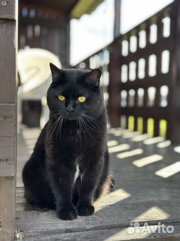 

1-к. коттедж, 18 м²