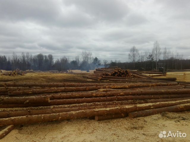 Баня 4х5 м с доставкой и установкой