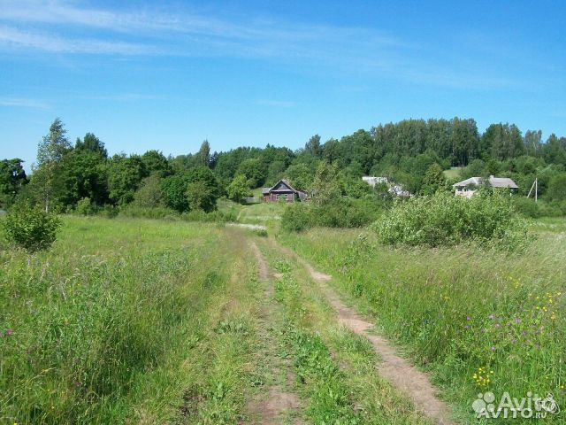 Погода деревня мышкино. Деревня Мышкино Кингисеппский район. Кингисеппский р-он д. Мышкино. Деревня Мышкино Ленинградская область.