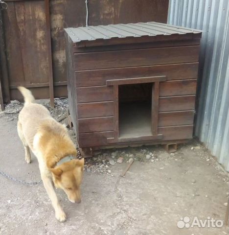 Будка для собаки Б4 купить на Зозу.ру - фотография № 1