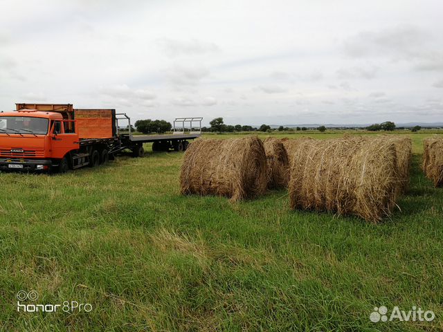 Сено, солома с доставкой