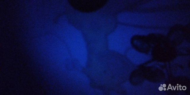 Мобиль Tiny love волшебная лампа Мобиль Tiny love волшебная лампа