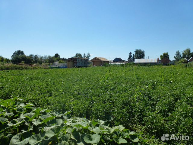 Участок 10 сот. (ИЖС)
