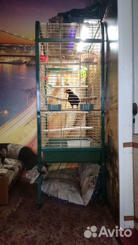 Клетка для больших птиц купить на Зозу.ру - фотография № 2