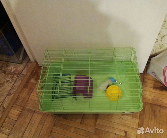 Клетка для морской свинки Клетка для морской свинки