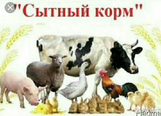 Корма для птиц и животных купить на Зозу.ру - фотография № 1