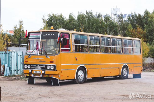 Заказ ретро автобуса. Икарус 260