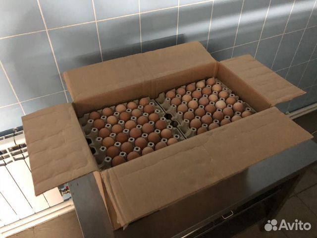 Цесариное яйцо гост