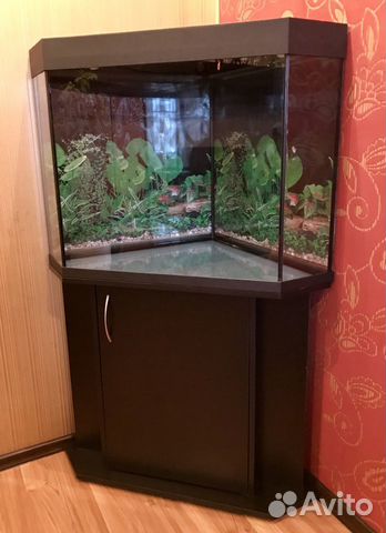 Аквариум угловой 200л., с тумбой Аквариум угловой 200л., с тумбой