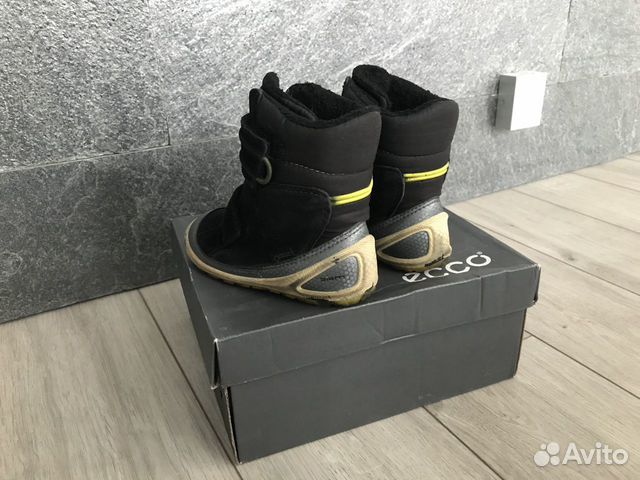 ecco biom 24