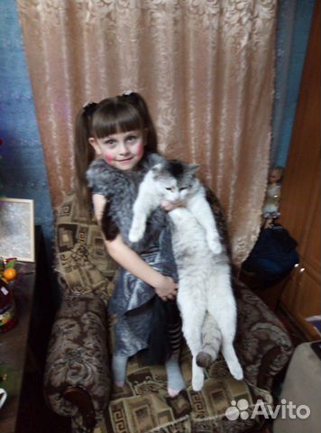 Кот купить на Зозу.ру - фотография № 7