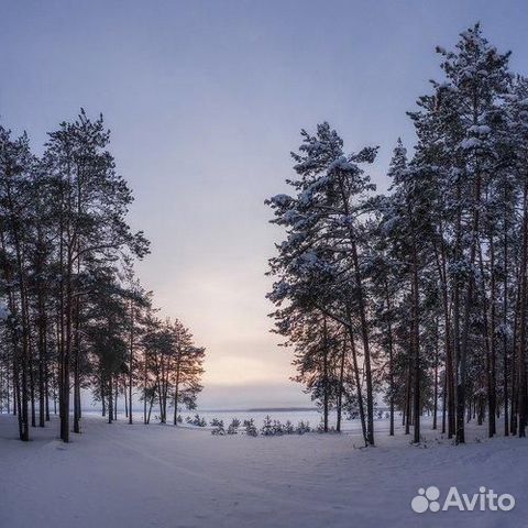 Участок 50 сот. (ИЖС)