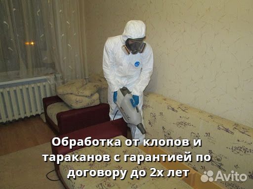 Уничтожение клопов, обработка от тараканов Уничтожение клопов, обработка от тараканов